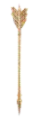 Scroll down